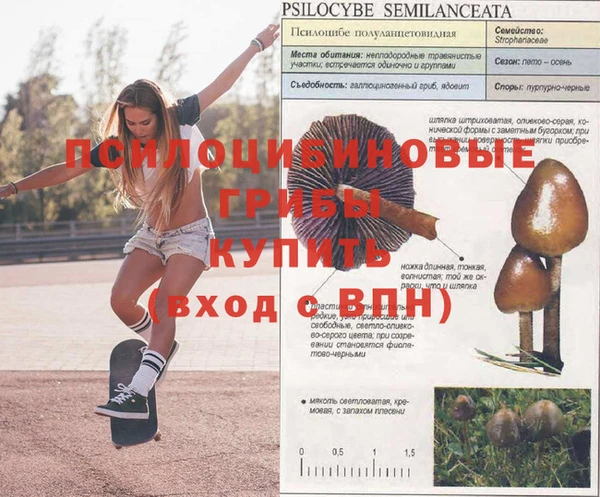 не бодяженный Алексеевка