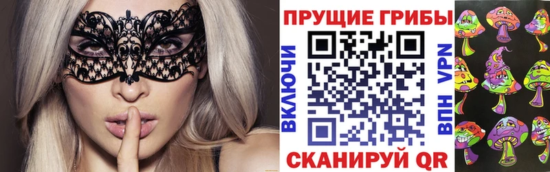 где продают наркотики  нарко площадка как зайти  Псилоцибиновые грибы ЛСД  Межгорье 